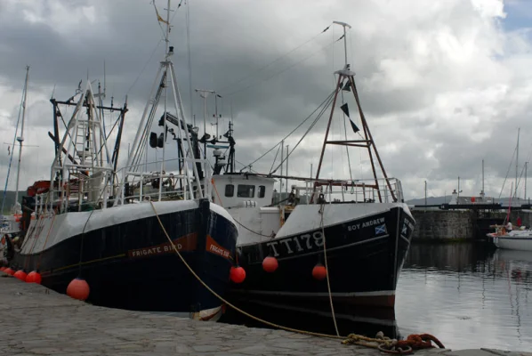 Crinan Harbour