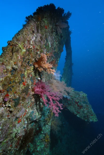 Stern helm