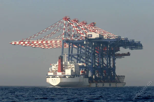 Zhen Hua 8