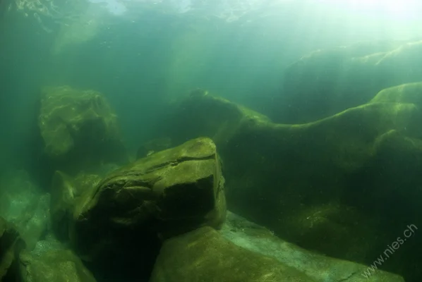 Rocks in sunlight