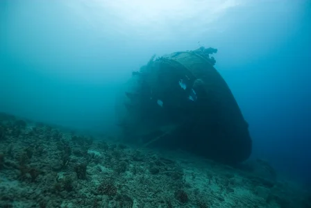 Shipwreck