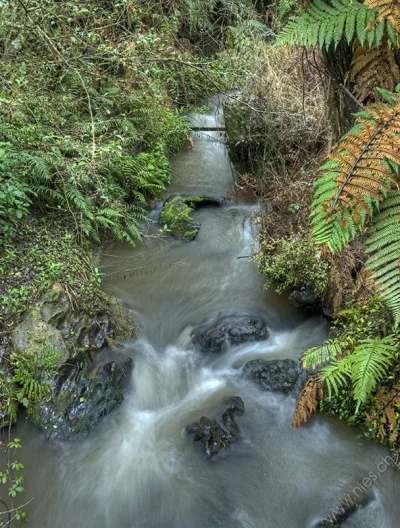 Wairakei Thermal Valley