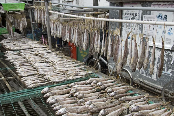 Fish drying