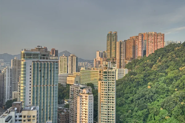 Skyscrapers in the evening sun