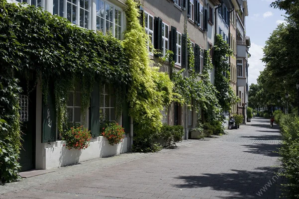 Face of a building with plants