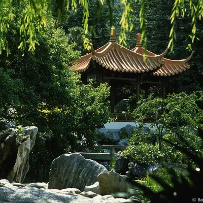 Chinese Garden, Sydney
