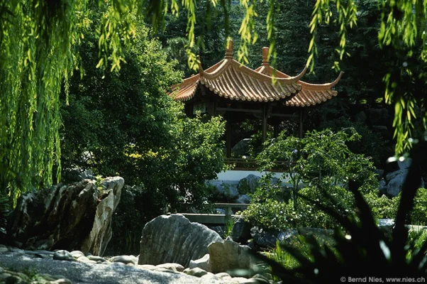 Chinese Garden, Sydney