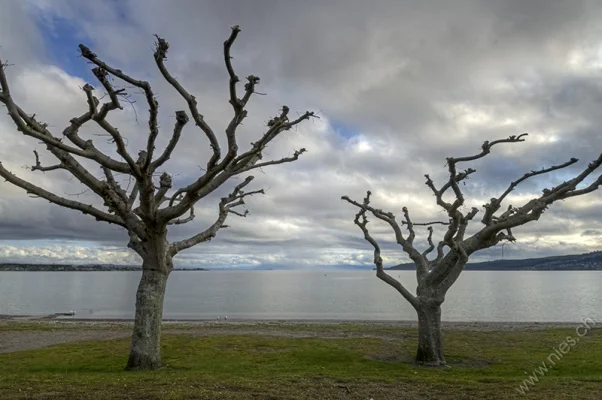 Lake Taupo