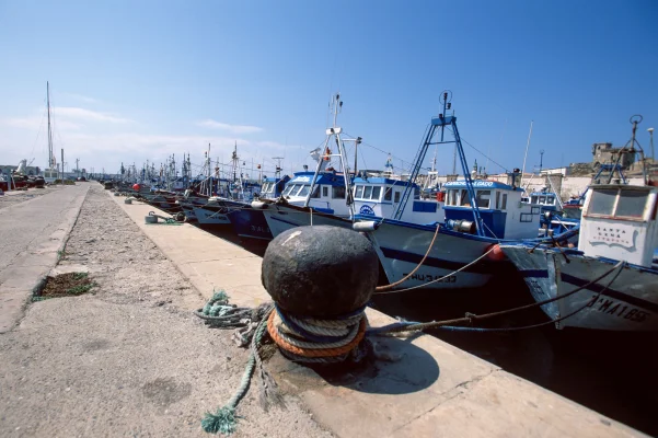 Fischerboote im Hafen