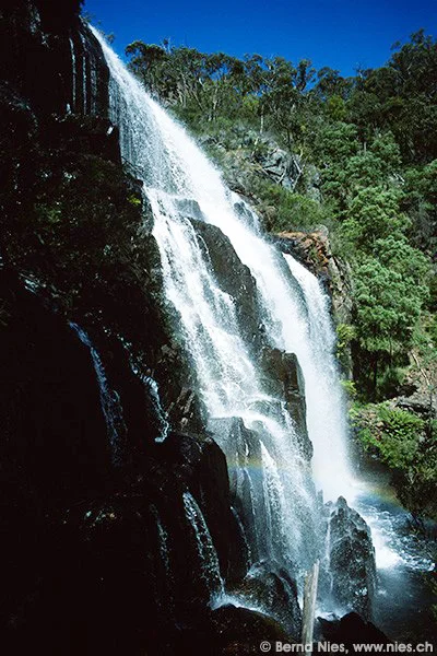 McKenzie Falls