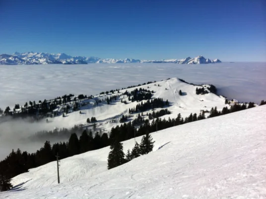 Rigi