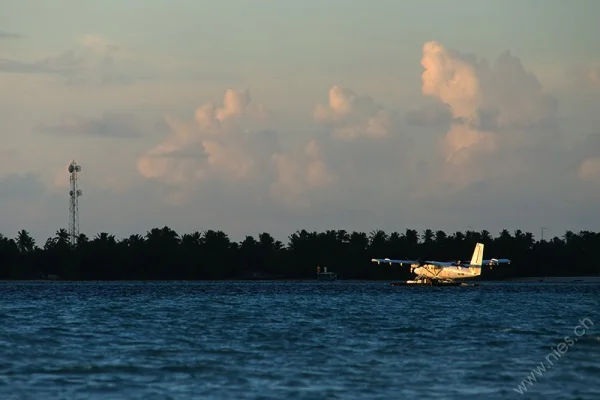 Waterplane