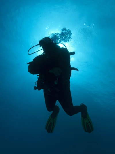 Diver Silhouette