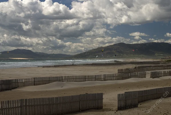 Fences on the beach