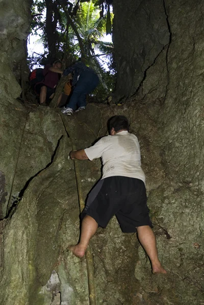 Cave Tour