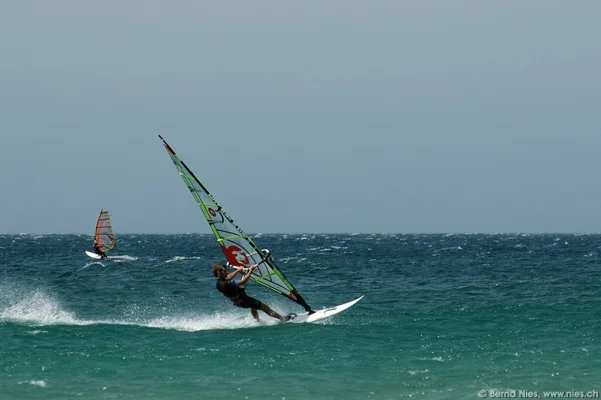 Windsurfers