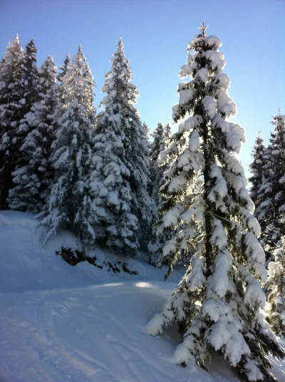 Sledding Druesberg Hut