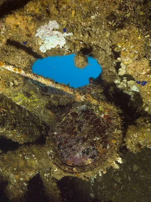 SS President Coolidge Porthole