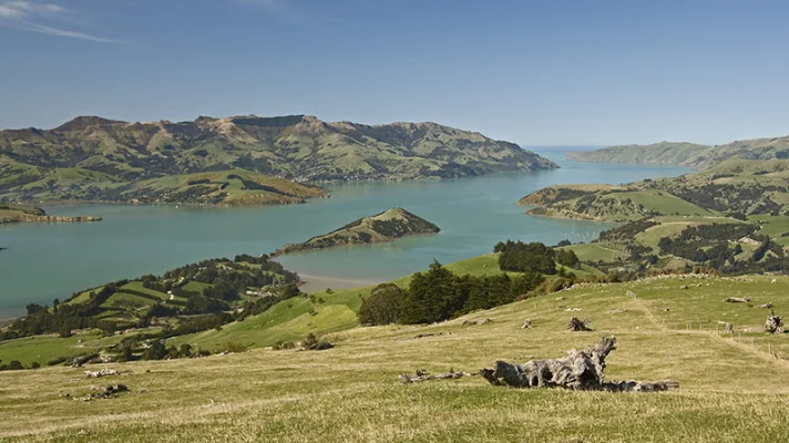 Banks Peninsula