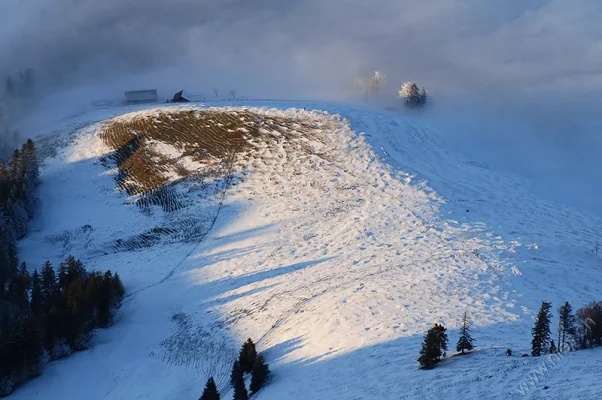 Rigi Nebelmeer und Sonnenuntergang