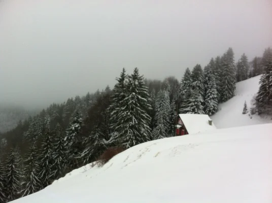 Schnee im Nebel