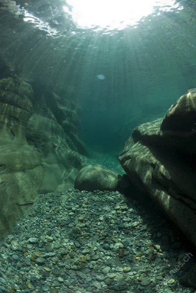 Underwater Landscape