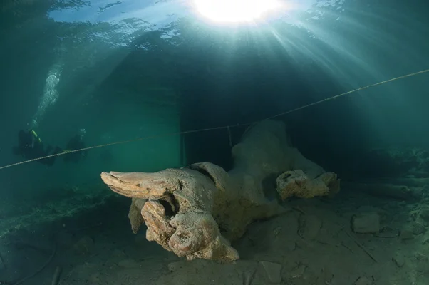 Tree stump at boat house