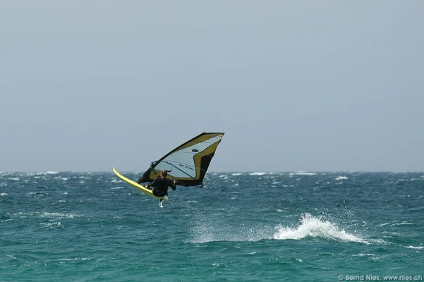 Windsurfer