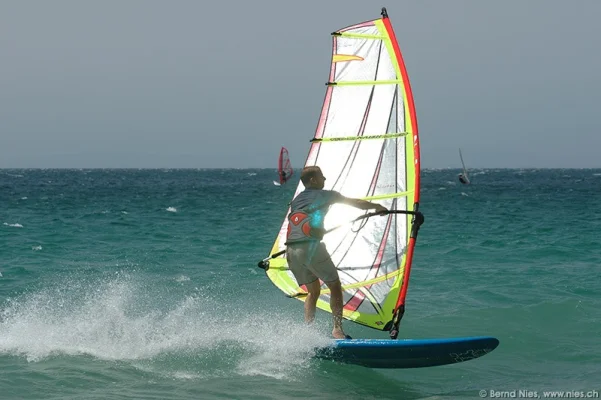 Windsurfers