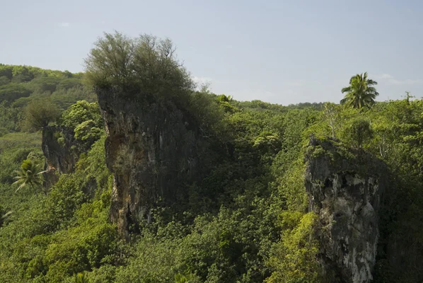 Felsen