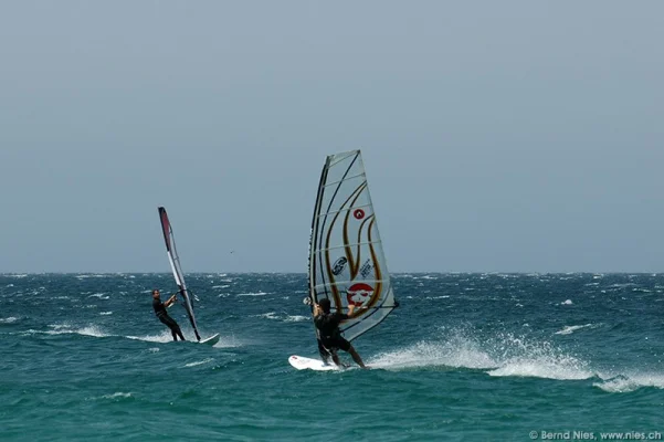 Windsurfers