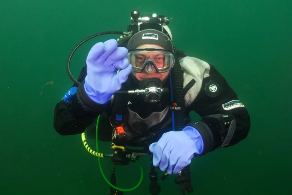 Divebuddy