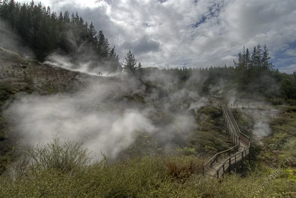 Wairakei Thermal Valley